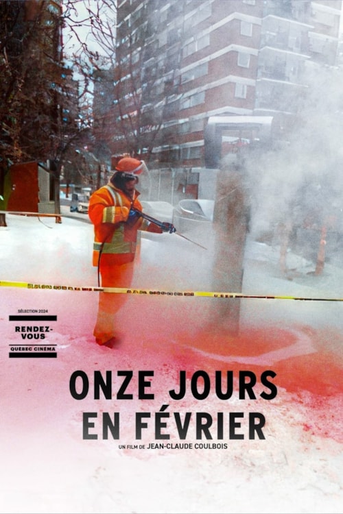 Fog in February poster